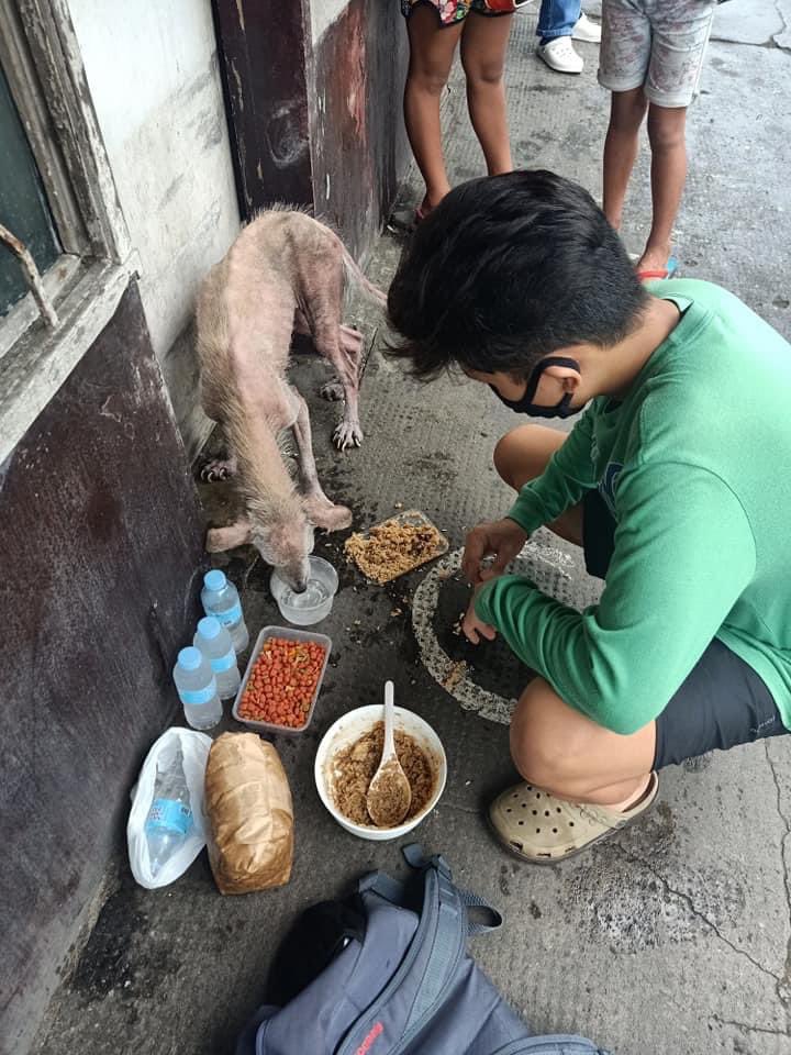 Steve ⚕️SNEAKERLUCID tweet media