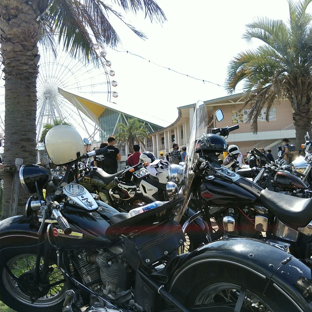 69jittan's tweet photo. 目的地到着。
#BBQ
いただきます。
#大前りょうすけ
#champion76
#HarleyDavidson
#1948FLPANHEAD
#PANHEAD
#48FL
#EightySeven https://t.co/4yidtZQj2p