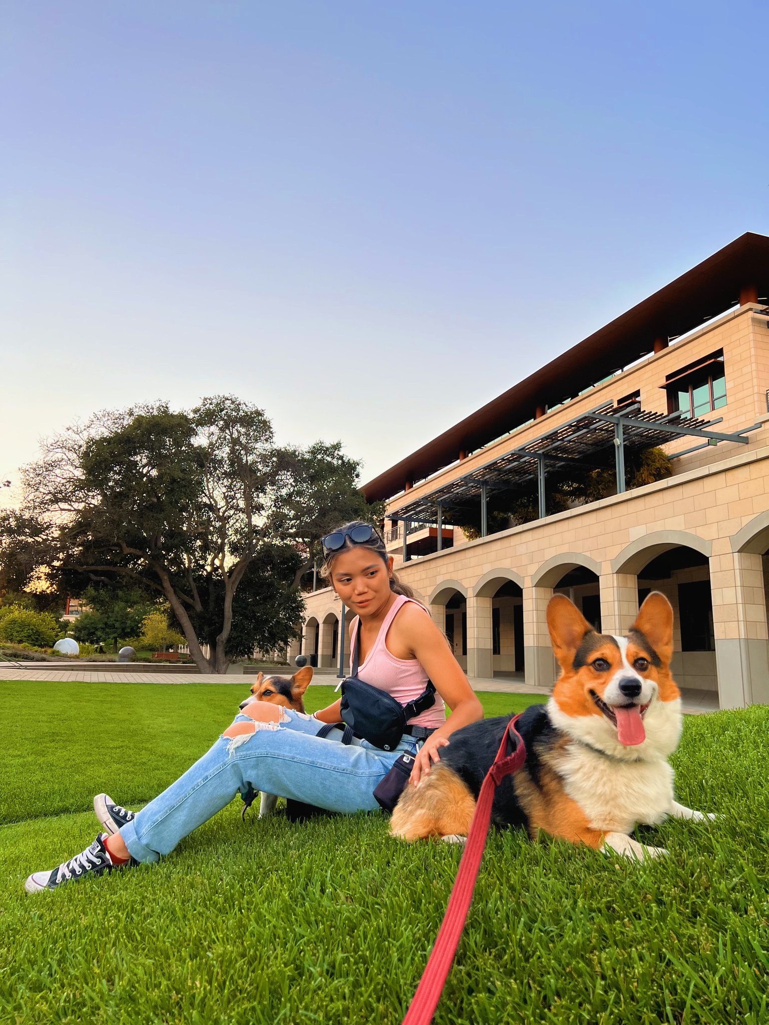 Teddy On Twitter Little Doggy Day Https T Co F26uogtlmz Twitter