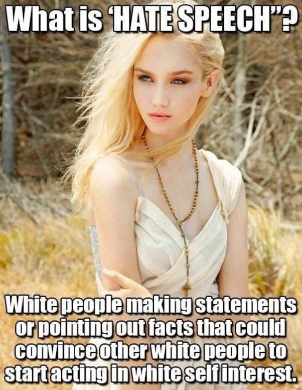 LiamWeb97294743's tweet photo. We must stop anti-White hate!

#ocasi #ocasi_policy #decentwork #jobopportunity https://t.co/Ts0f39euoM