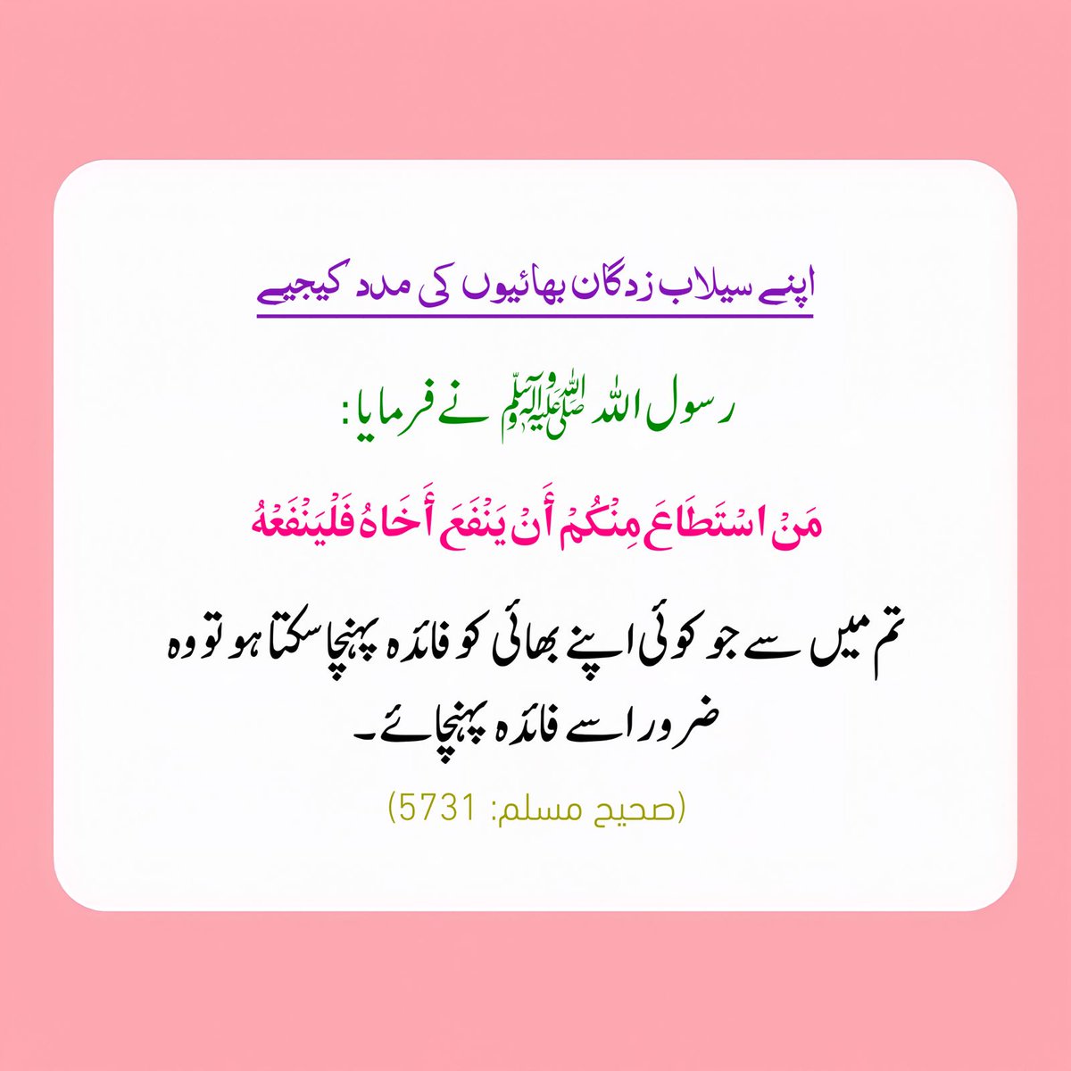 Meharzadi13's tweet photo. https://t.co/0sajNMyw6e