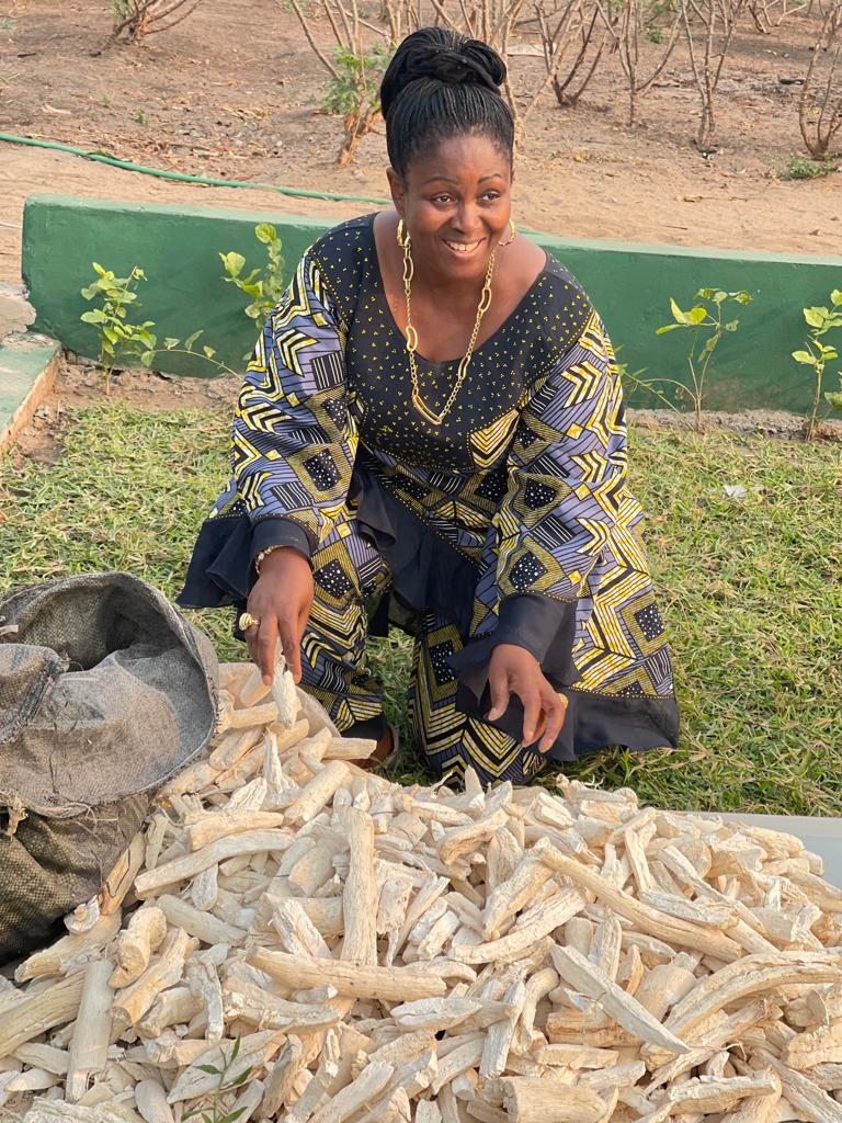 colette_tshomba's tweet photo. Car l'Eternel, ton Dieu, t'a béni dans toute l'œuvre de tes mains,...Deut 2:7

Grande est ma joie d'avoir effectué la recolte de nos maniocs, produits de la Ferme KIMIA dans la commune de MALUKU. 

Bon dimanche à vous 😍!
CTN https://t.co/V4OLyoW4IN