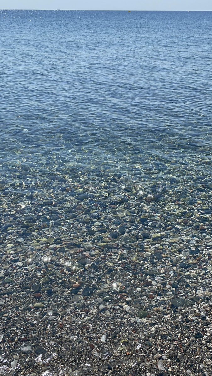 Sara La Squaletta🦈Princess 👸🏻 tweet media