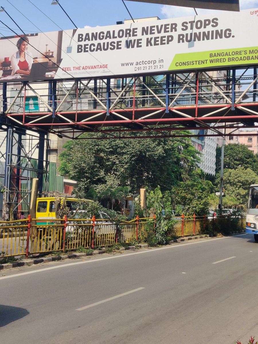 We're losing visibility of what really matters. Trees are being chopped to give advertising hoardings prominence. Is this legal even? @aranya_kfd @BBMPCOMM @ParveenKaswan #TreeOfficer