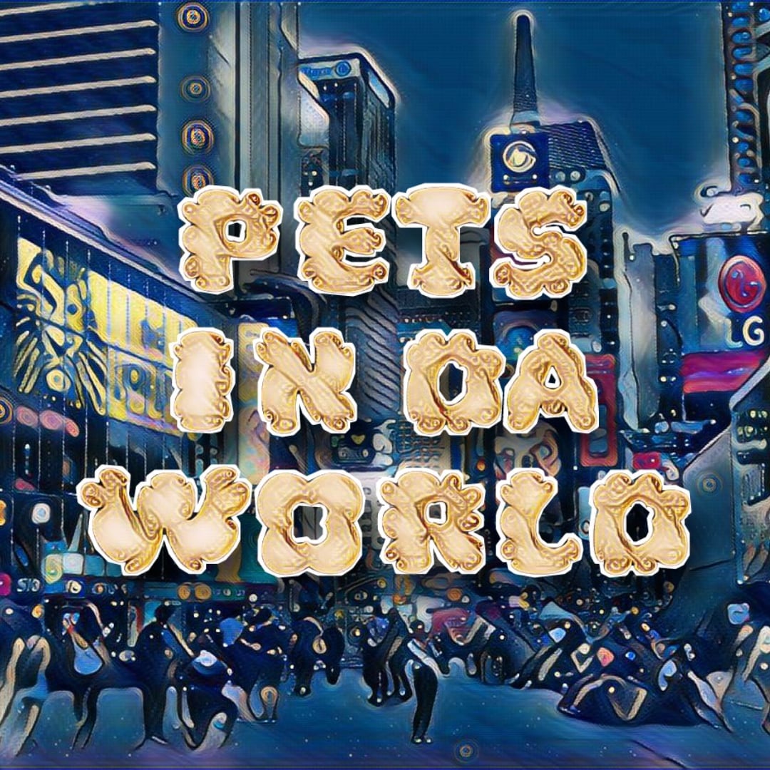 PetsIndaWorld's tweet photo. #NuevaFotoDePerfil
#NFT #NFTs #NFTCommunity #Solana #pet #pets #petlover #cats #CatsOfTwitter #CatsOnTwitter #catsofinstagram https://t.co/hsq9zgin39