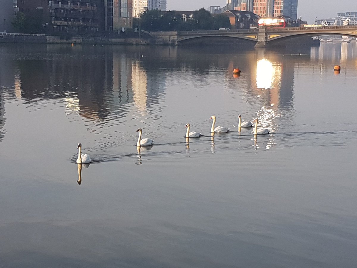 MicKayB's tweet image. Met some pals on the way