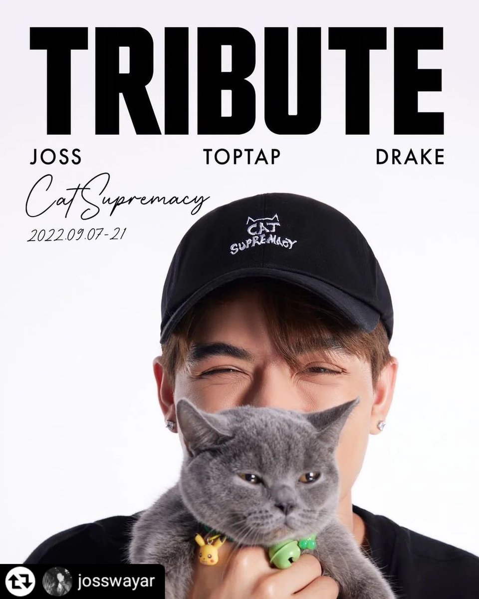fcjosswayar's tweet photo. [ IG Update ]
@Josswayar
🔗 : https://t.co/EjQwqFto8d

Yall ready?
Cat supremacy, Coming soon!

#TributeXJossWayar
#TRIBUTE 
#트리뷰트 #ContributeWithTribute 
#CatSupremacy  #TributeCollabs #OptToAdopt #straycatsofthailand
#JossWayar 
#จอสครับไม่ใช่จอร์ช
#FCJOSSWAYAR https://t.co/8JZtkxfIO2