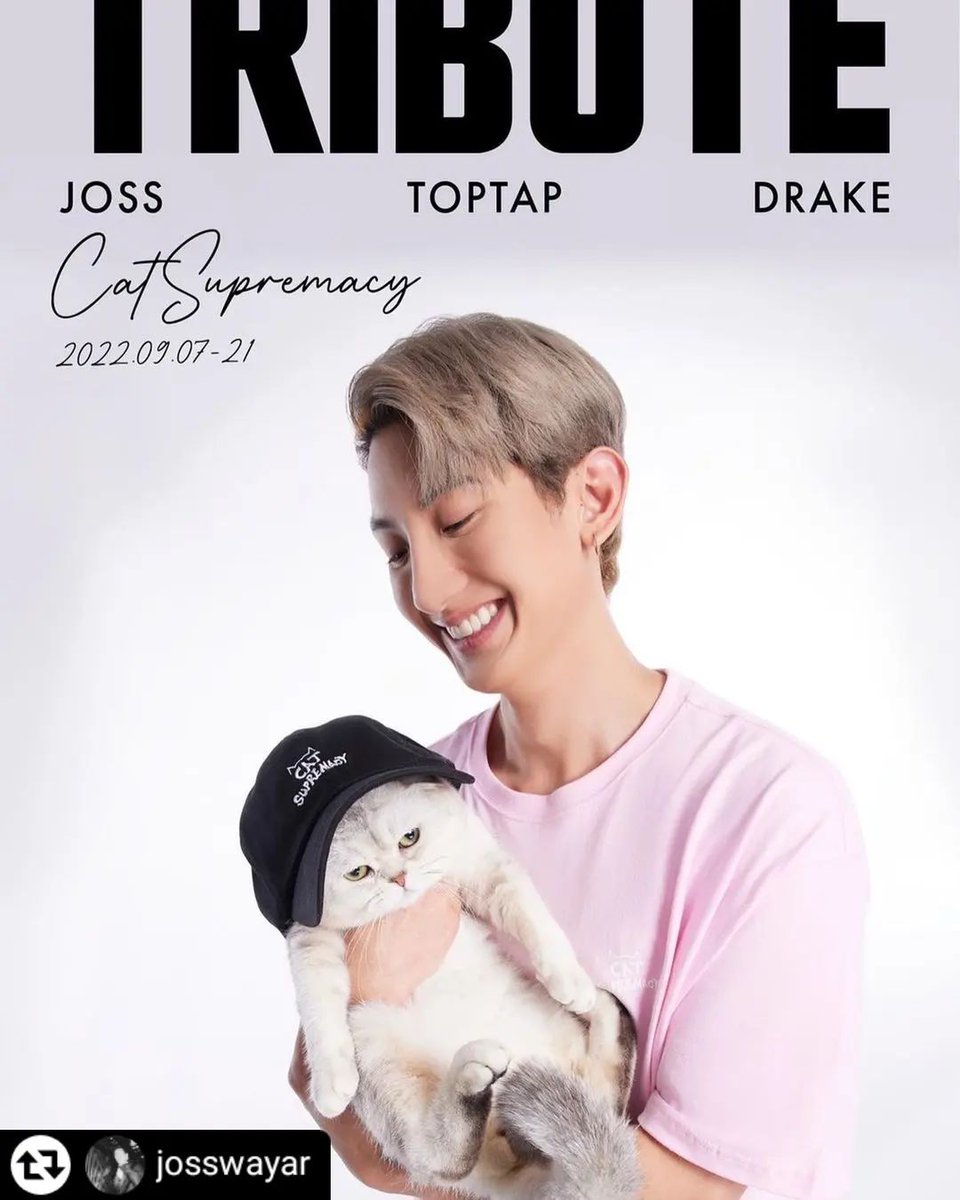 fcjosswayar's tweet photo. [ IG Update ]
@Josswayar
🔗 : https://t.co/EjQwqFto8d

Yall ready?
Cat supremacy, Coming soon!

#TributeXJossWayar
#TRIBUTE 
#트리뷰트 #ContributeWithTribute 
#CatSupremacy  #TributeCollabs #OptToAdopt #straycatsofthailand
#JossWayar 
#จอสครับไม่ใช่จอร์ช
#FCJOSSWAYAR https://t.co/8JZtkxfIO2