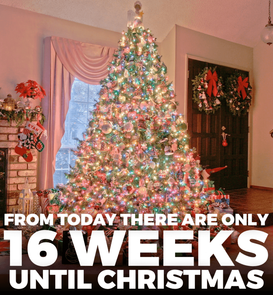christmas_clock's tweet photo. 16 WEEKS UNTIL  #CHRISTMAS!
 🕒 https://t.co/08kJVAWqc2 🎄🎅 https://t.co/2iQQCafNjd
