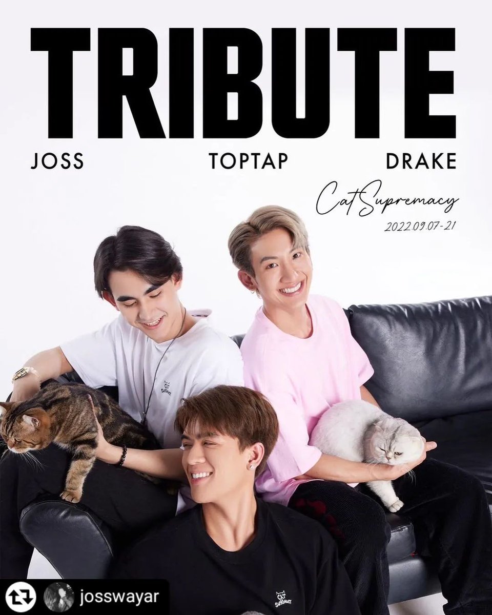 fcjosswayar's tweet photo. [ IG Update ]
@Josswayar
🔗 : https://t.co/EjQwqFto8d

Yall ready?
Cat supremacy, Coming soon!

#TributeXJossWayar
#TRIBUTE 
#트리뷰트 #ContributeWithTribute 
#CatSupremacy  #TributeCollabs #OptToAdopt #straycatsofthailand
#JossWayar 
#จอสครับไม่ใช่จอร์ช
#FCJOSSWAYAR https://t.co/8JZtkxfIO2