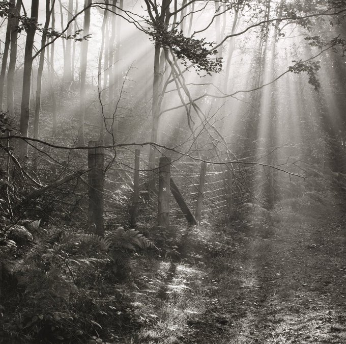 Fay Godwin (1931-2005), British photographer known for her black-and-white landscapes of the countryside and coast #WomensArt