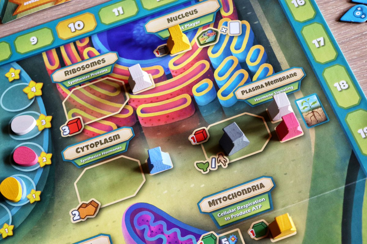 Cellulose: A Plant Cell Biology Game is a worker placement game by @GotGeniusGames that puts the players inside a plant cell, very educational! Check my impression here: tabletopping.games/2022/09/04/cel… #boardgames #cellulose #geniusgames #sciencegames