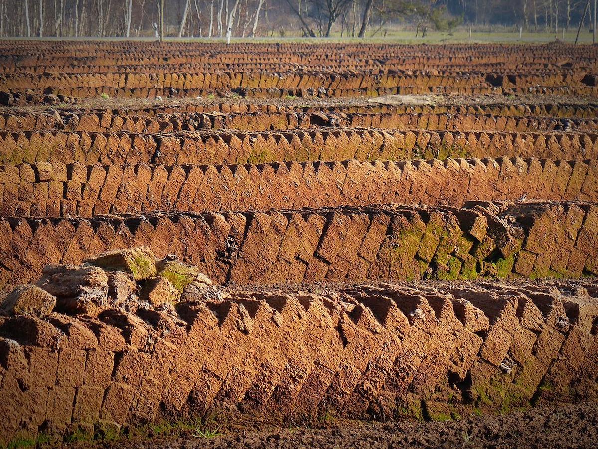 PositiveNewsUK's tweet image. This is what went right this week, including England announcing a peat ban
positive.news/society/positi…