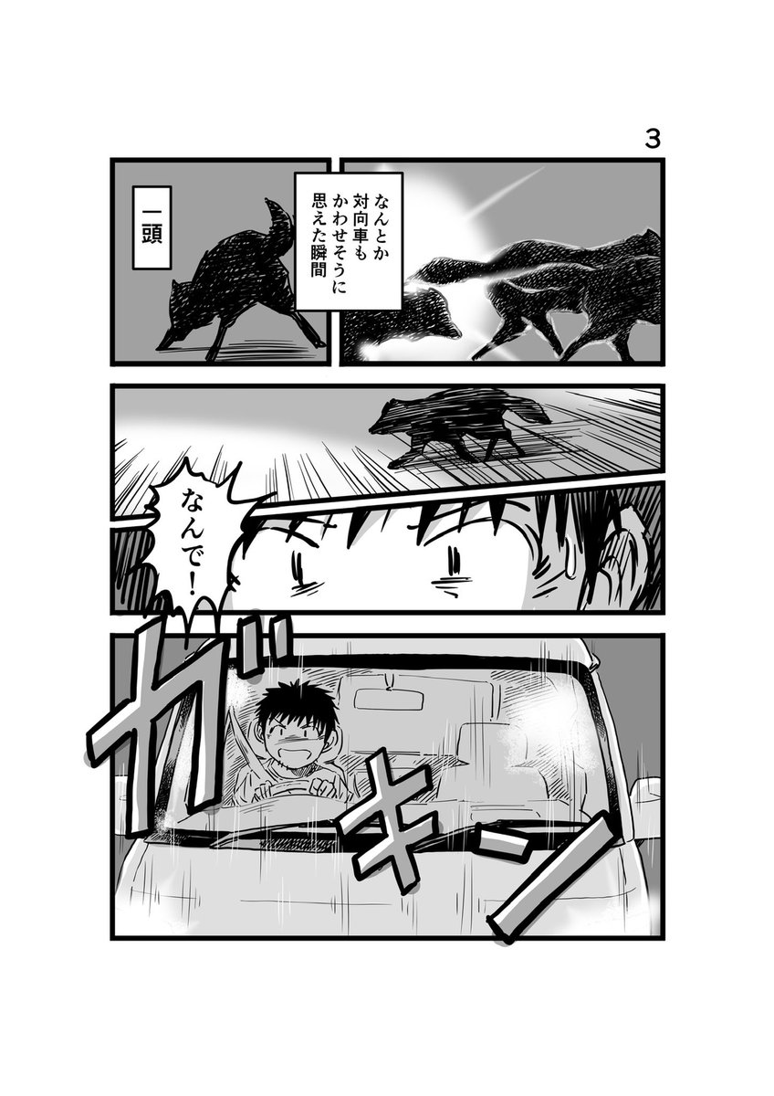 #離婚して車中泊になりました 79 1/2
【観覧注意】野生動物に関する、少し刺激のある内容ですので、ご注意下さい
#車中泊 #エッセイ漫画 