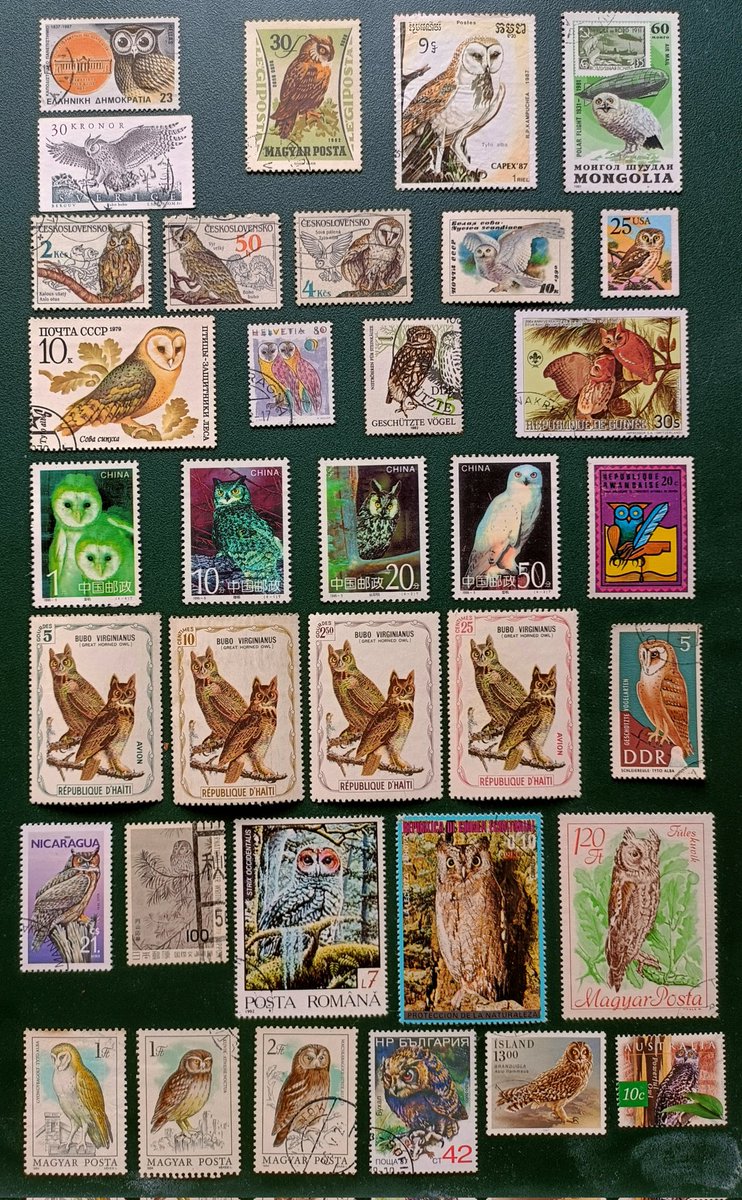 Sharing a small portion of my Owl-philately. These are all used. But now I am shifting to mints. #owls #owlphilately #owlcollection #birdsphilately #philately #stampcollection