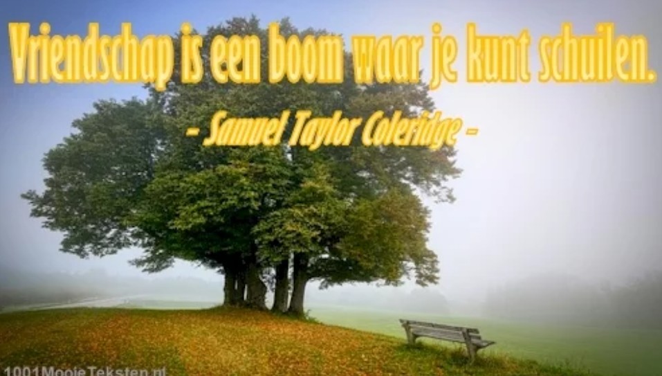 Heerlijk met een boekje in de tuin en dan verrast worden met mooie quotes. #ikhouervan