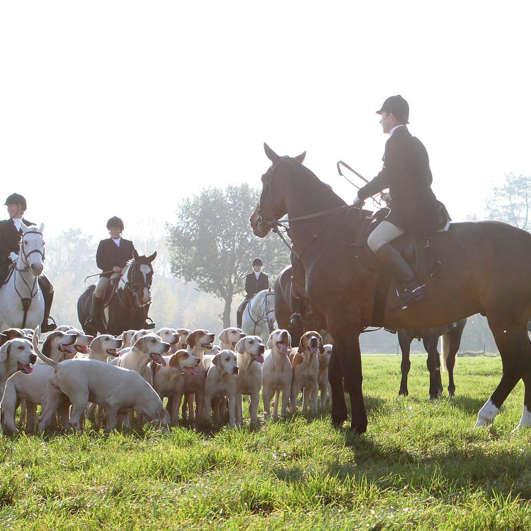 If you're off out in the early hours for the autumn hunt, or you're saving yourself for the main season, you always need to be well turned out. Unsure what to wear? Read our blogs on What to wear for Autumn Hunting 👉 bit.ly/3CQc5BQ

#equus #equusengland