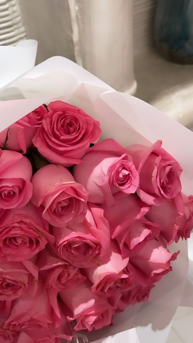 Pink roses