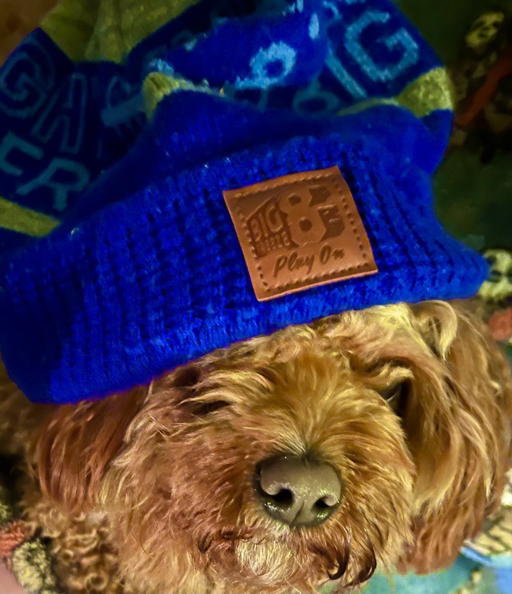 JasperMax4's tweet photo. Bit cold tonight. Needed my beanie https://t.co/1tcGVMJ9pf
