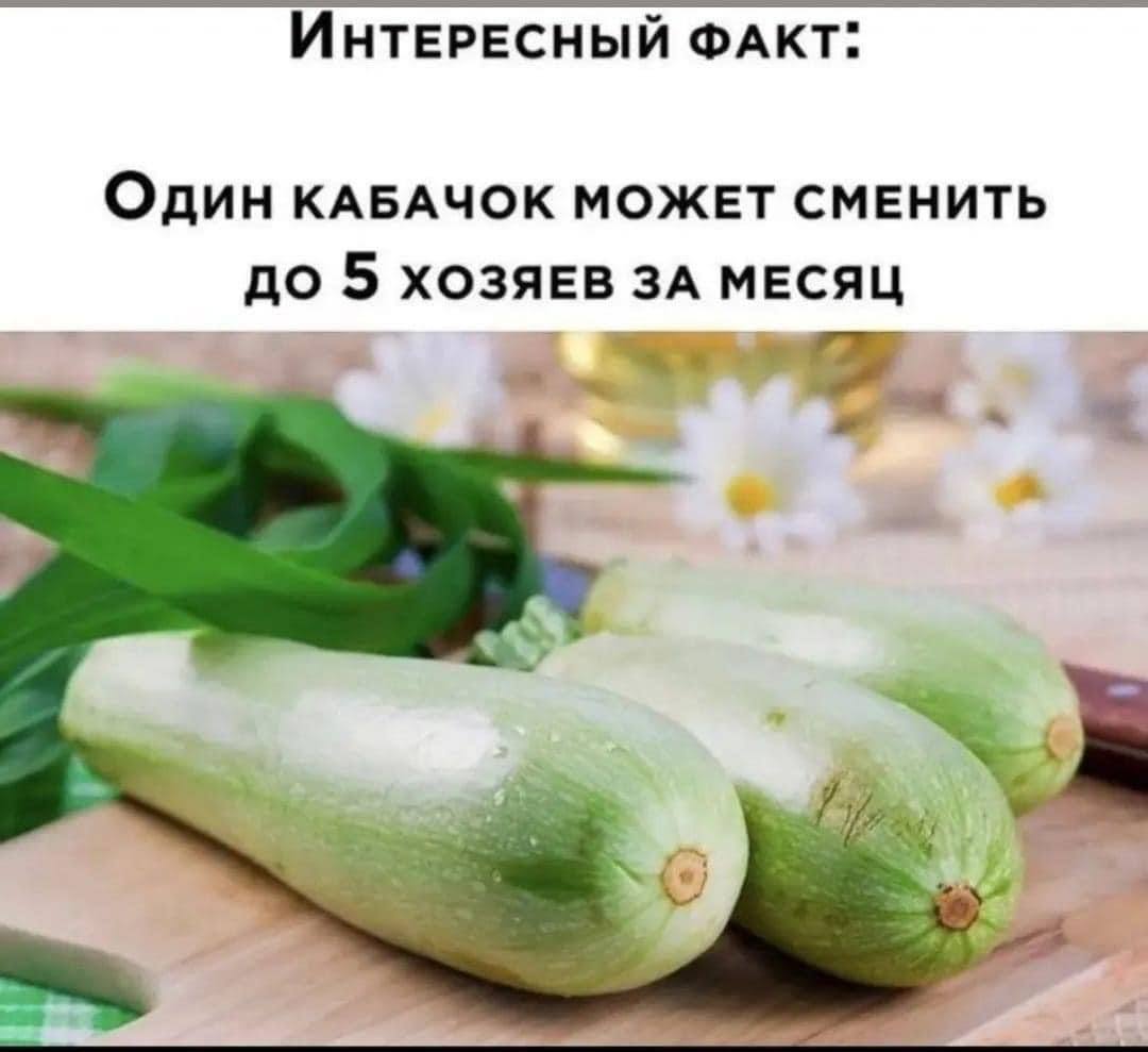 Семена кабачка