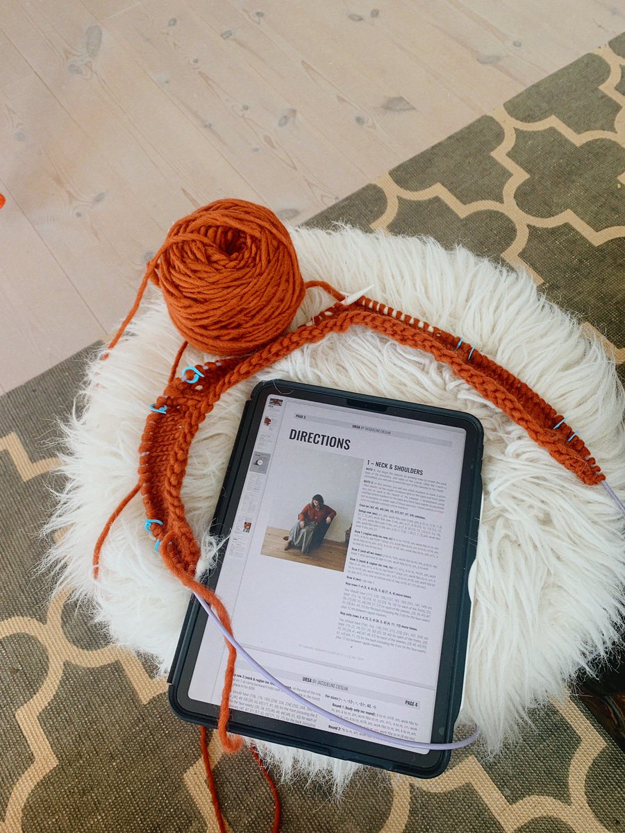「embarking on my first big knitting proje」|cheyenne (sleepy)のイラスト