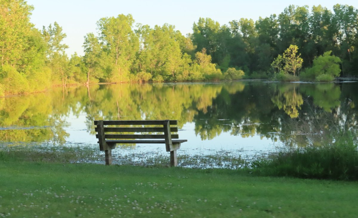 PLKlein_Author's tweet photo. "Don't focus on the problem. Focus on the solution." ~ #MarkCox #ThinkBIGSundayWithMarsha #ThinkingOutLoud #QuickQuotes #SundayMotivation #Focus #Problem #Solution https://t.co/WHNlX02uCR