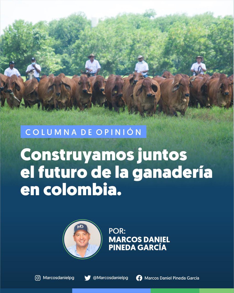 MarcosDanielPG's tweet photo. Logramos que la ganadería en Colombia saliera del “cuarto de San Alejo” y se ubicara bajo el lente nacional, llevándola al Congreso para escuchar y debatir sobre el proyecto en mención, sino también sobre los retos y el futuro de la actividad.

#Opinión
🔗 https://t.co/OWdKz74gZ0 https://t.co/px5flMpnrP