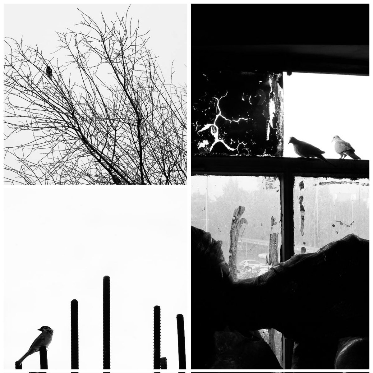 <a href="/Sueartens/">Sue</a> <a href="/sendrock/"></a> <a href="/arash_sahra/">𝘈𝘙𝘈𝘚𝘏</a> <a href="/eth_moein/">MOEIN SHO.ART/ETH</a> <a href="/Mahdisamadiii/">Mahdi Samadi📸✨</a> <a href="/sabaizaddoust/">saba 🇮🇷</a> 
<a href="/peymanpnd7/">P. pnd</a>