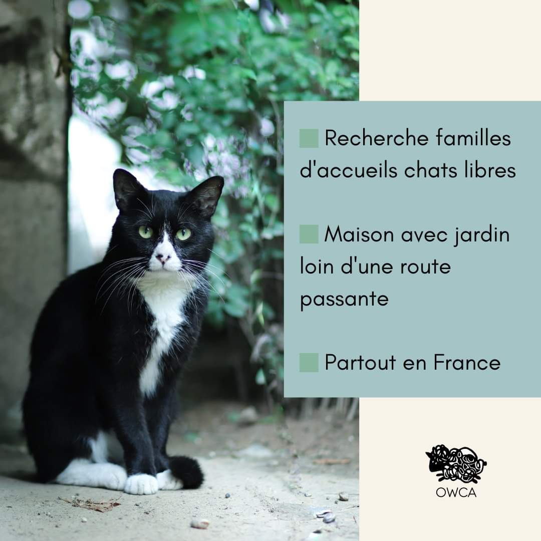 Association Owca tweet media