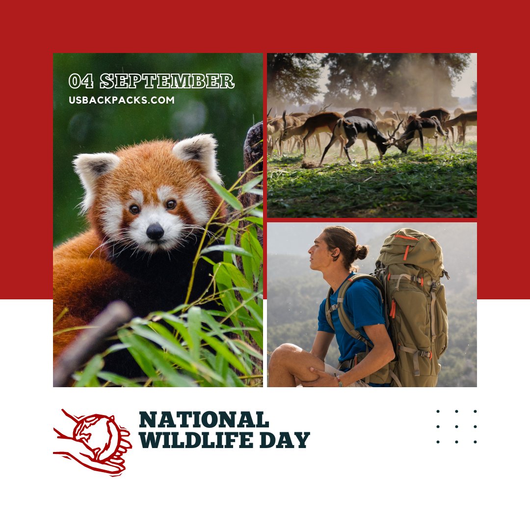 Grab your backpack and enjoy today national wild life day. Take some beautiful pictures and really feel the life in the wild. Today is National Wildlife day  #backpack #nationalwildlifeday2022 #nationalwildlifeday #backpacks #travelbackpack #traveler #outdoor #outdoorbackpack