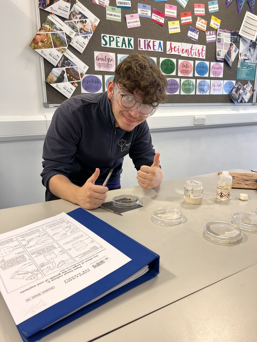 MintlawSci's tweet photo. We are super proud of our #AHBio lab skills this week! Billy has been enjoying work experience at @Aberdeenshire #macduffaquarium and then sharing his stories 🐟 with us in a Friday afternoon practical. Amazing young scientists 🧑🏽‍🔬 #LearningTogether #DYW https://t.co/cVraecHWNj