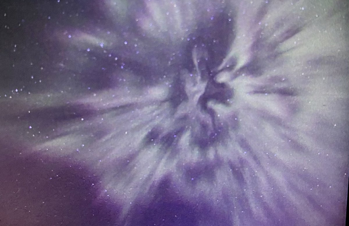 Tracy Petreman tweet media