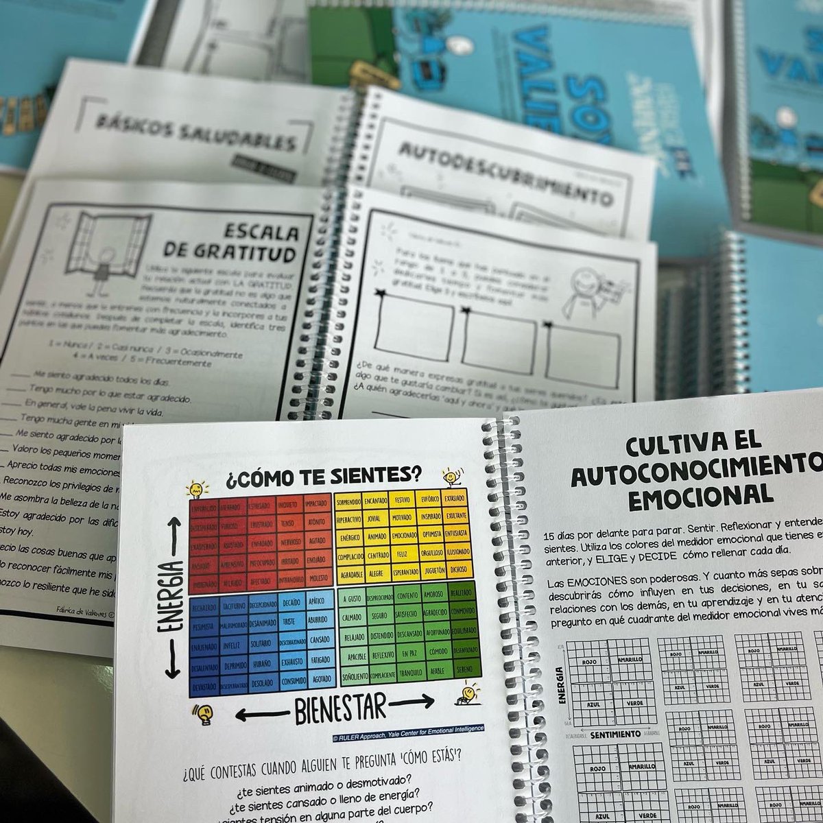 FdValientes's tweet photo. ¿Conoces nuestro material descargable y cuadernos para entrenar tus emociones inteligentes?
🍀Ed. limitada #madeinMallorca
🍀 Impreso en @esmentcomunidad
🍀También en PDF descargables
⏳Y hasta el 11/09 TODO con un 25% descuento
FYI 😀
For Your Inspiration
#workinprogressforever https://t.co/55vDLSTezG
