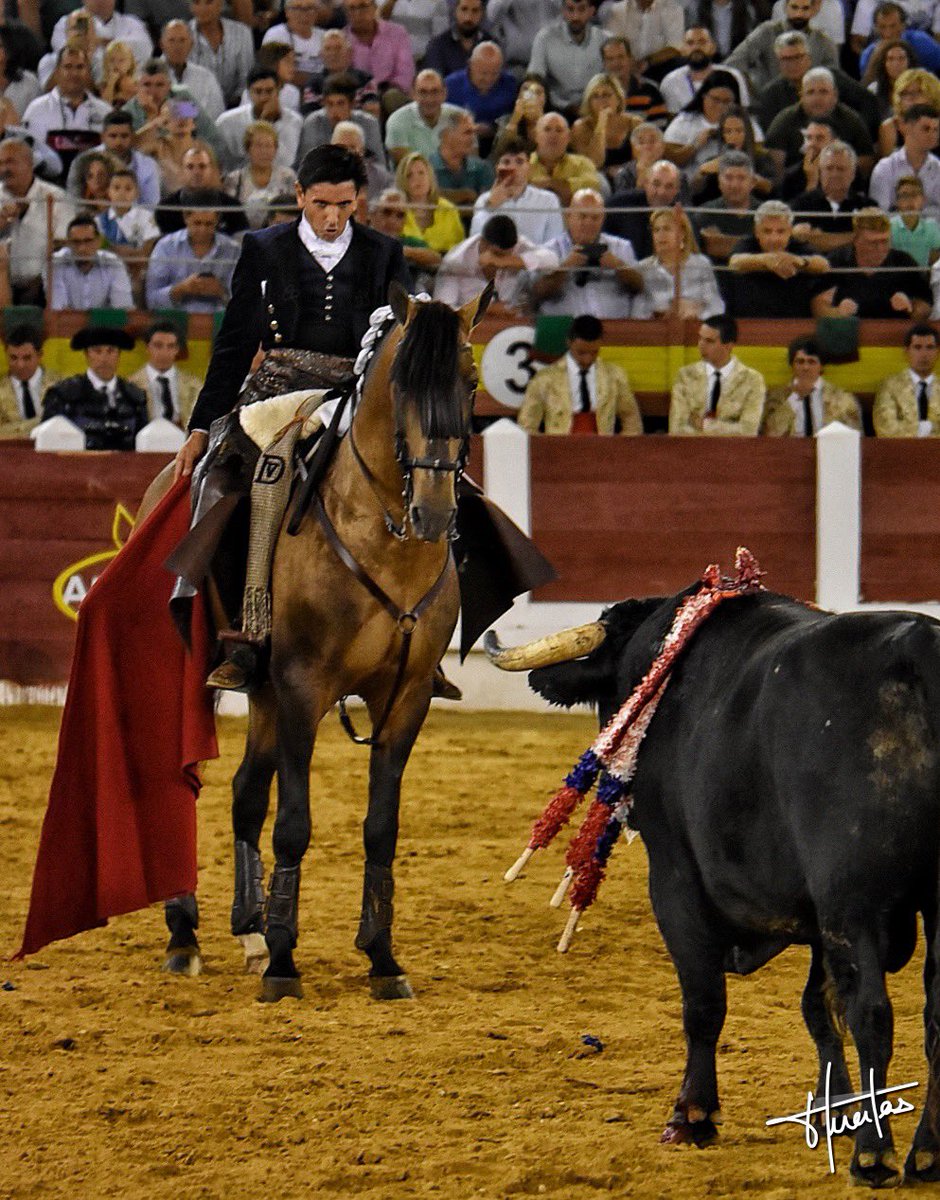 merida_toros's tweet photo. ⏪ La corrida de rejones de ayer, con otra 🔍 mirada… 🗓 3 de septiembre

📸 @huertas_melanie https://t.co/tAU6Py7lW9