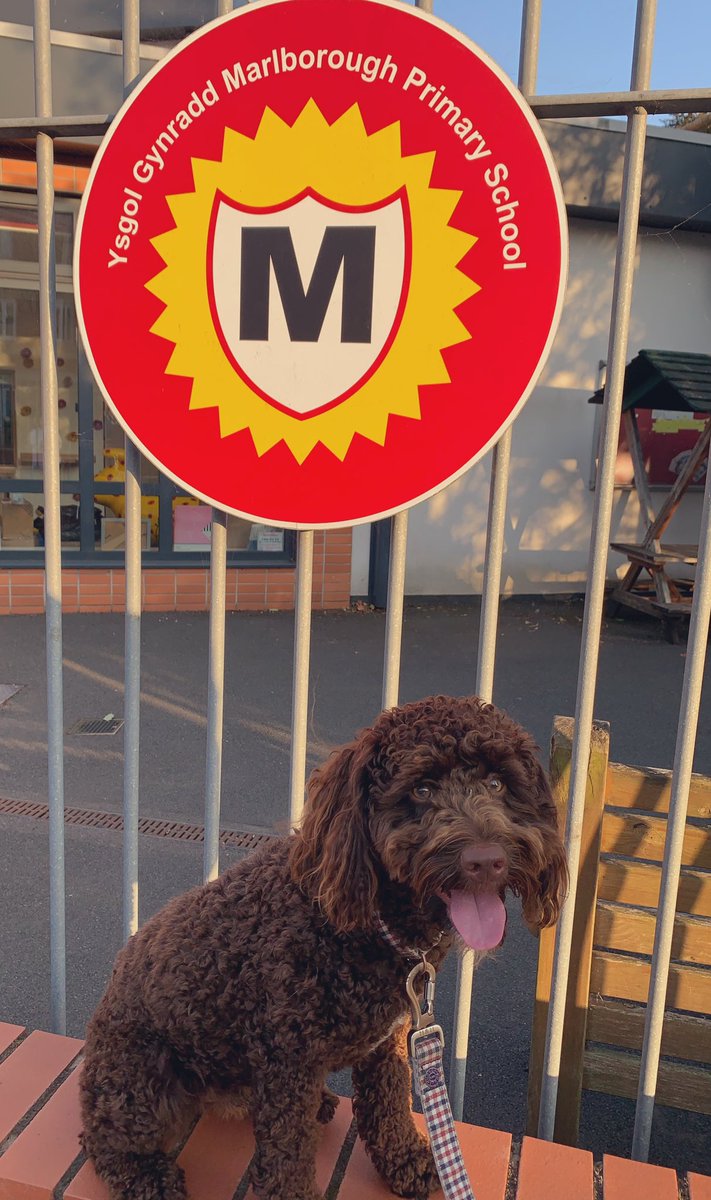 We are so looking forward to welcoming the Marlborough family back to school this week. ❤️ We can’t wait to see the children on Wednesday. ❤️