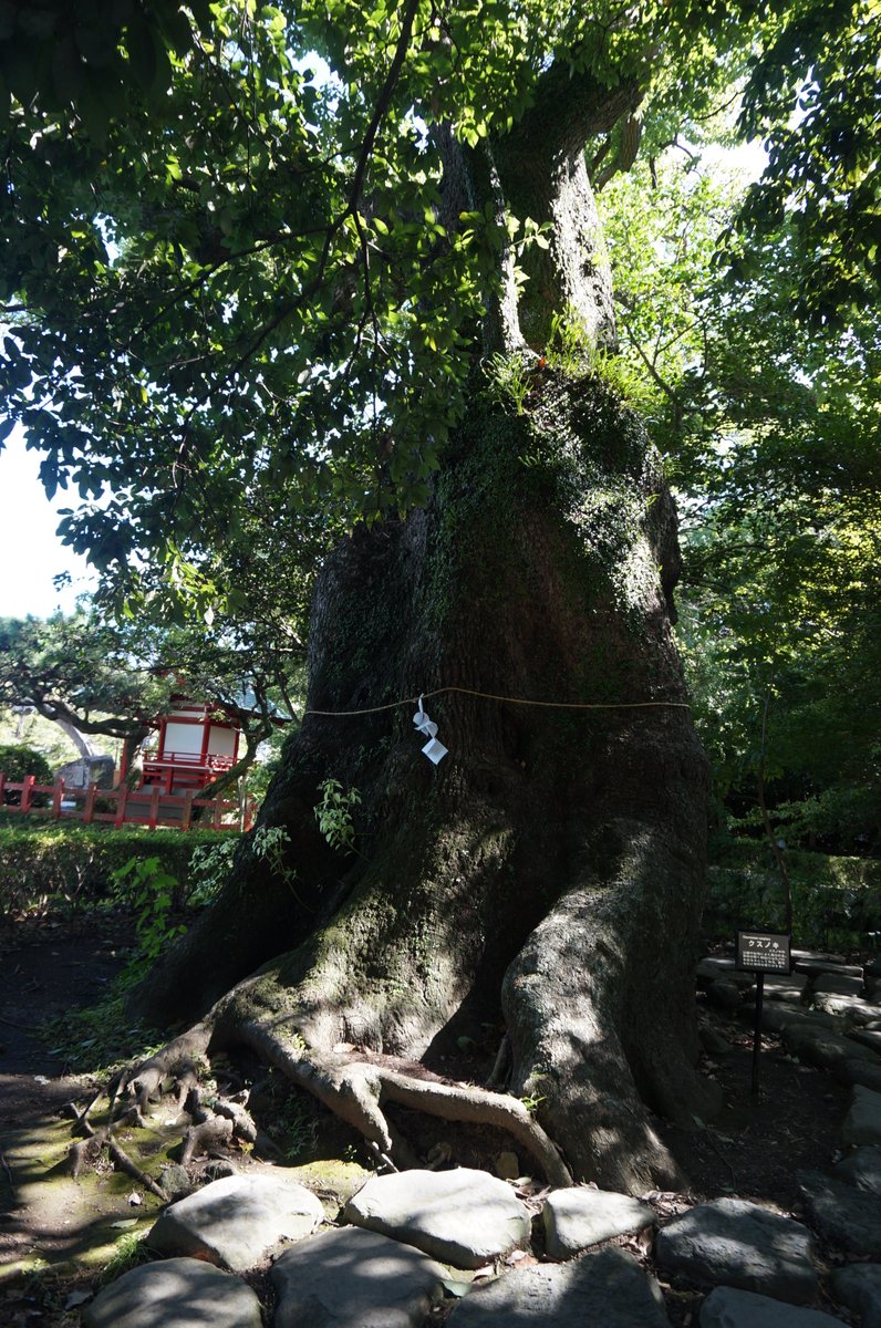  Apple、5億台目のiPhoneをひっそりと販売