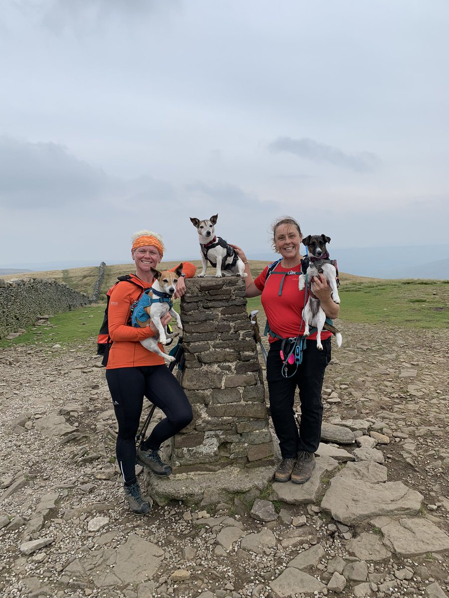 Luciestott's tweet photo. #yorkshire3peekschallenge with the girls #jackrussell https://t.co/HK9td97Vf5