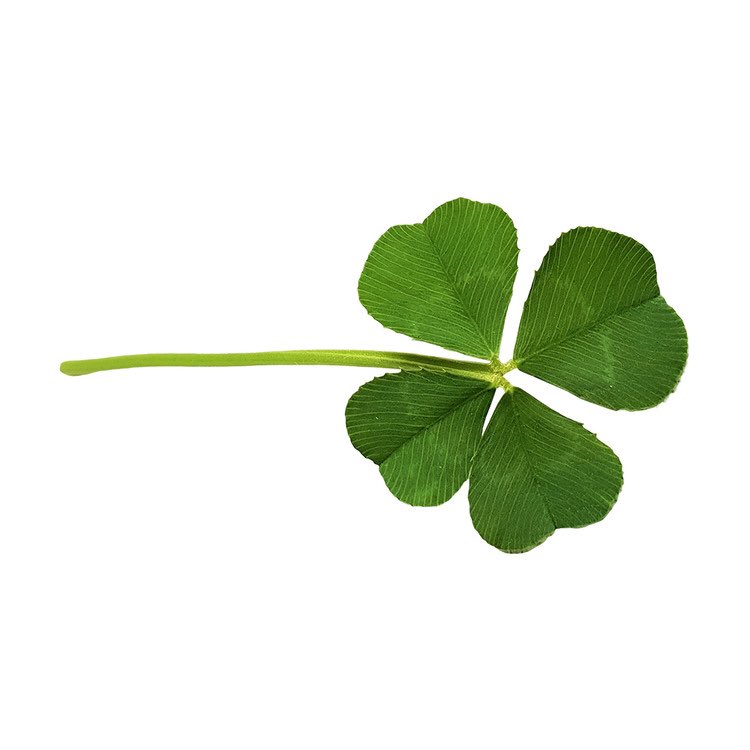 제발 다들 태풍 조심하세요
🍀🍀🍀🍀🍀🍀🍀🍀🍀🍀🍀🍀🍀🍀🍀🍀🍀🍀🍀🍀🍀🍀🍀🍀🍀🍀🍀🍀🍀🍀🍀🍀🍀🍀🍀🍀🍀🍀🍀🍀🍀🍀🍀🍀🍀🍀🍀🍀🍀🍀🍀🍀🍀🍀🍀🍀🍀🍀🍀🍀🍀🍀🍀🍀🍀🍀🍀🍀🍀🍀🍀🍀🍀🍀🍀🍀🍀🍀🍀🍀🍀🍀🍀🍀🍀🍀🍀🍀🍀🍀🍀🍀🍀🍀🍀🍀🍀🍀🍀🍀🍀🍀🍀🍀🍀🍀🍀🍀🍀🍀🍀🍀🍀🍀🍀🍀🍀🍀🍀🍀🍀🍀🍀🍀🍀🍀