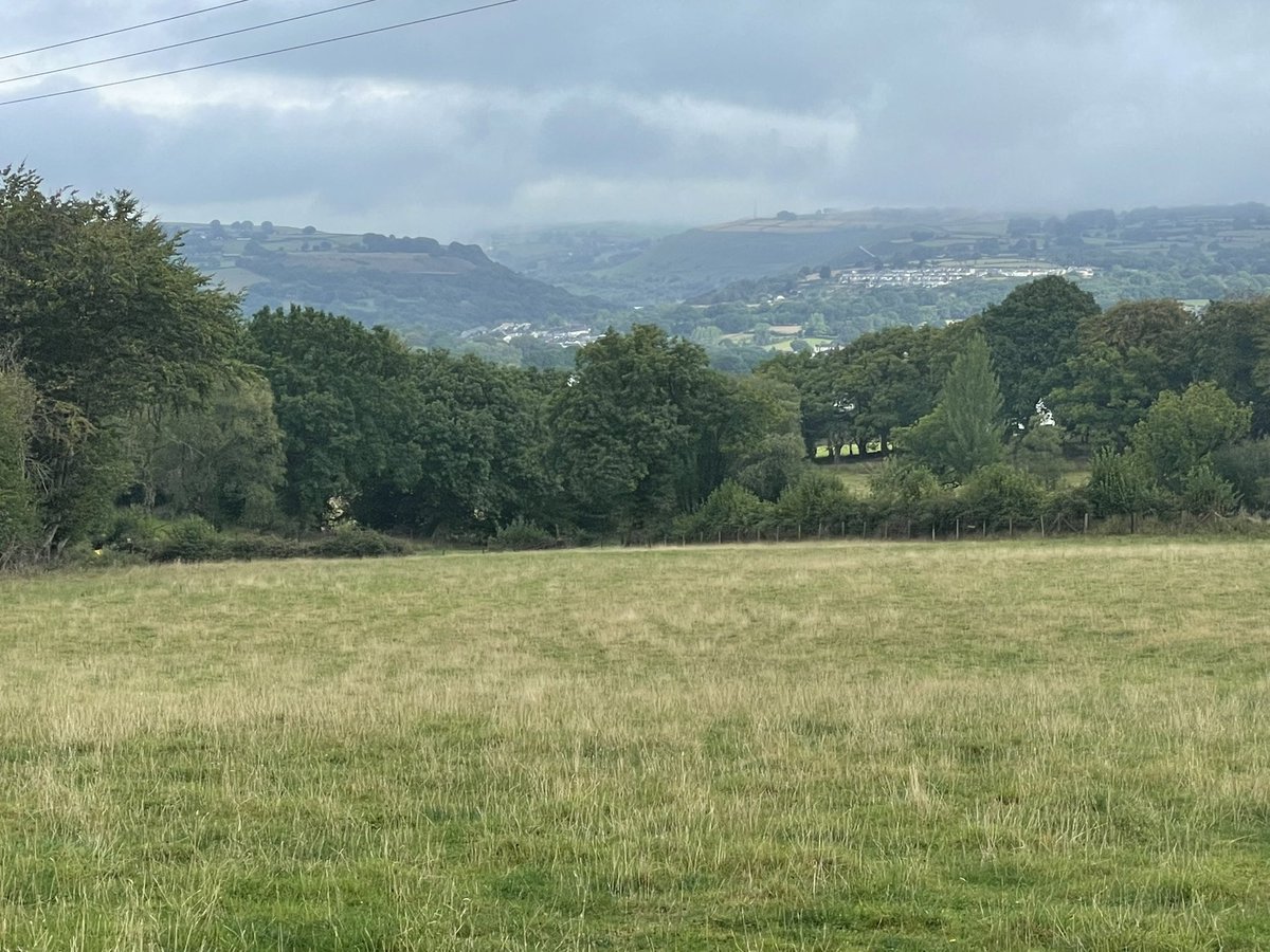 nikki brain tweet media