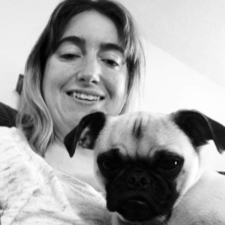 SDwillowthepug's tweet photo. #NewProfilePic https://t.co/xddpJ9yyXp