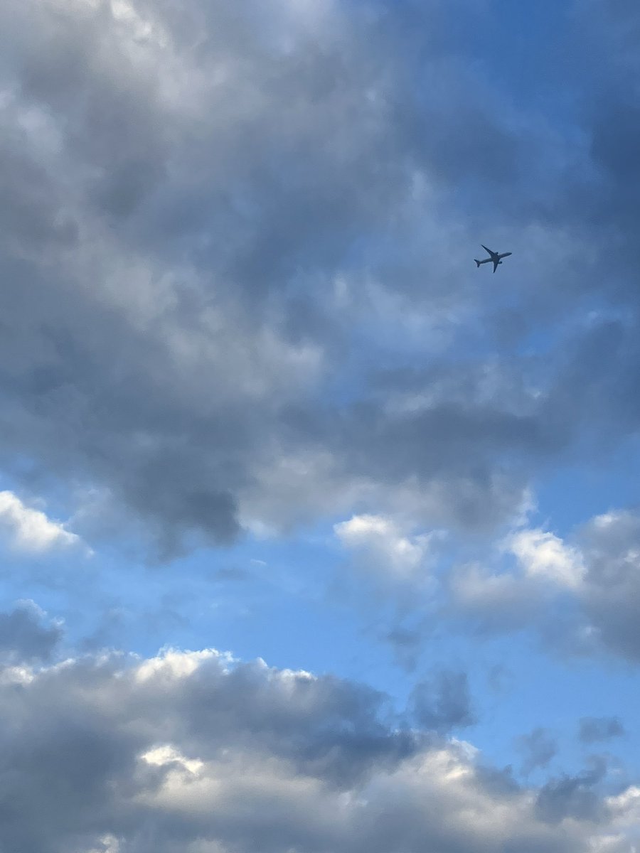 bichonflower's tweet photo. 飛行機を見るといつも手を振っていたけど、初めて飛行機に乗った時に歩いている人たちの顔が見えないことがわかってから手を振らなくなってしまった( ´･ω･`) https://t.co/MCQvGssfhx