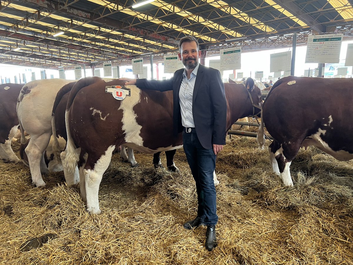 LechatHubert's tweet photo. Comme chaque année, l’excellence de l’élevage s’est donnée rendez vous au Festival de la viande à Evron - 53. 
Ce festival comme notre filière d’élevage ne vit que par la passion d’éleveurs, de professionnels bouchers, de consommateurs avertis. Soutien à la filière 👍🏻 https://t.co/2HNU5z1RMd