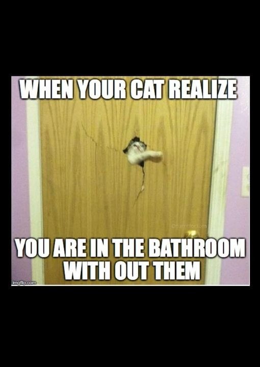 collison_jenny's tweet photo. @GlitterMagpie_ @Ktmoodles Definitely! I find the same! So along those lines… https://t.co/iTHzH0GMEV