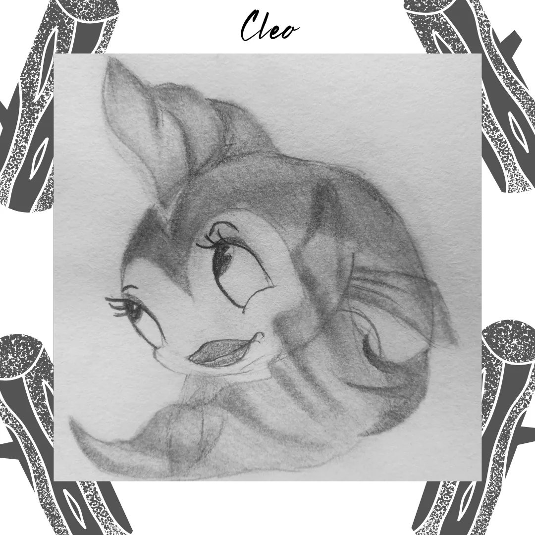 ArtistCanary's tweet photo. #Dibujo #dibujotradicional #dibujoamano #dibujosalapiz #lapiz #Disney #fanart #Animals #figaro #cat #Pinocho #Pinocchio #DisneyPlus #grafito #artwork #cartoondrawing #cartoonstyle #FelizSabado #ilustration #Okay #USOpen #Wattpad #cute #disneyanimals #animal #adorable #kawaii https://t.co/tcEeeta5QP