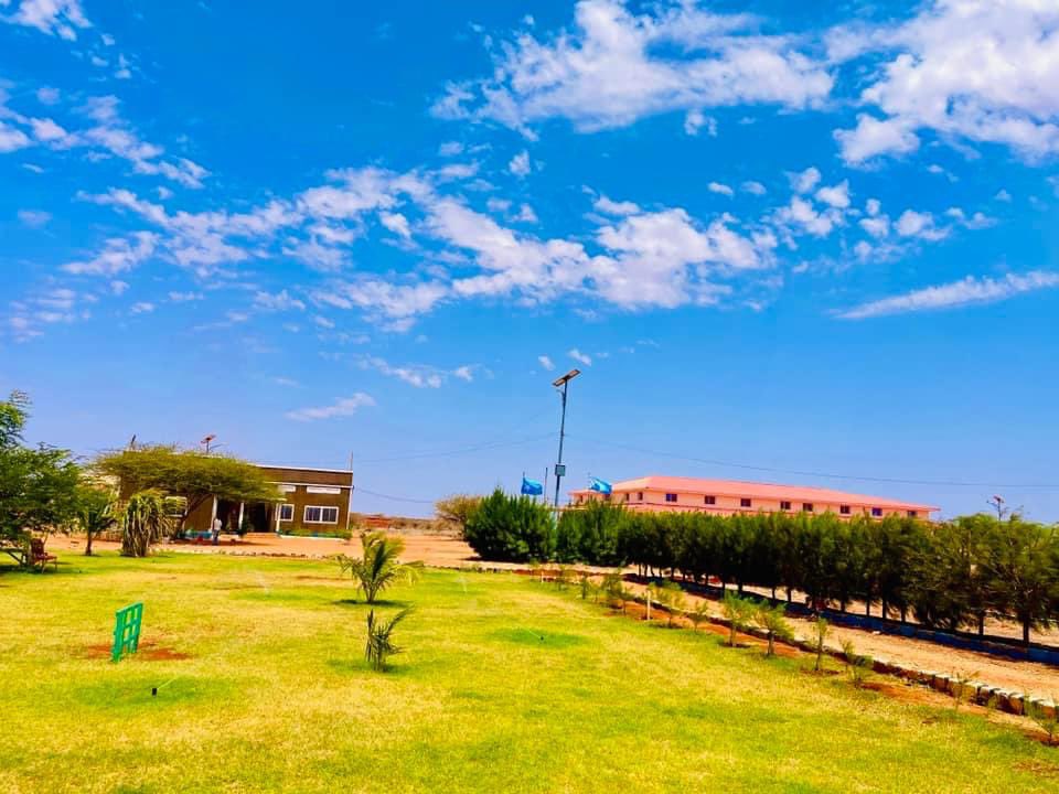 MpShuriye's tweet photo. @SNU_University The University of the Somali Nation Faraca Galmudug in the Aabudwaq district💚

#greenuniversity
The photo was taken by Walashen @HamdiMayle https://t.co/XKztIuaNRC