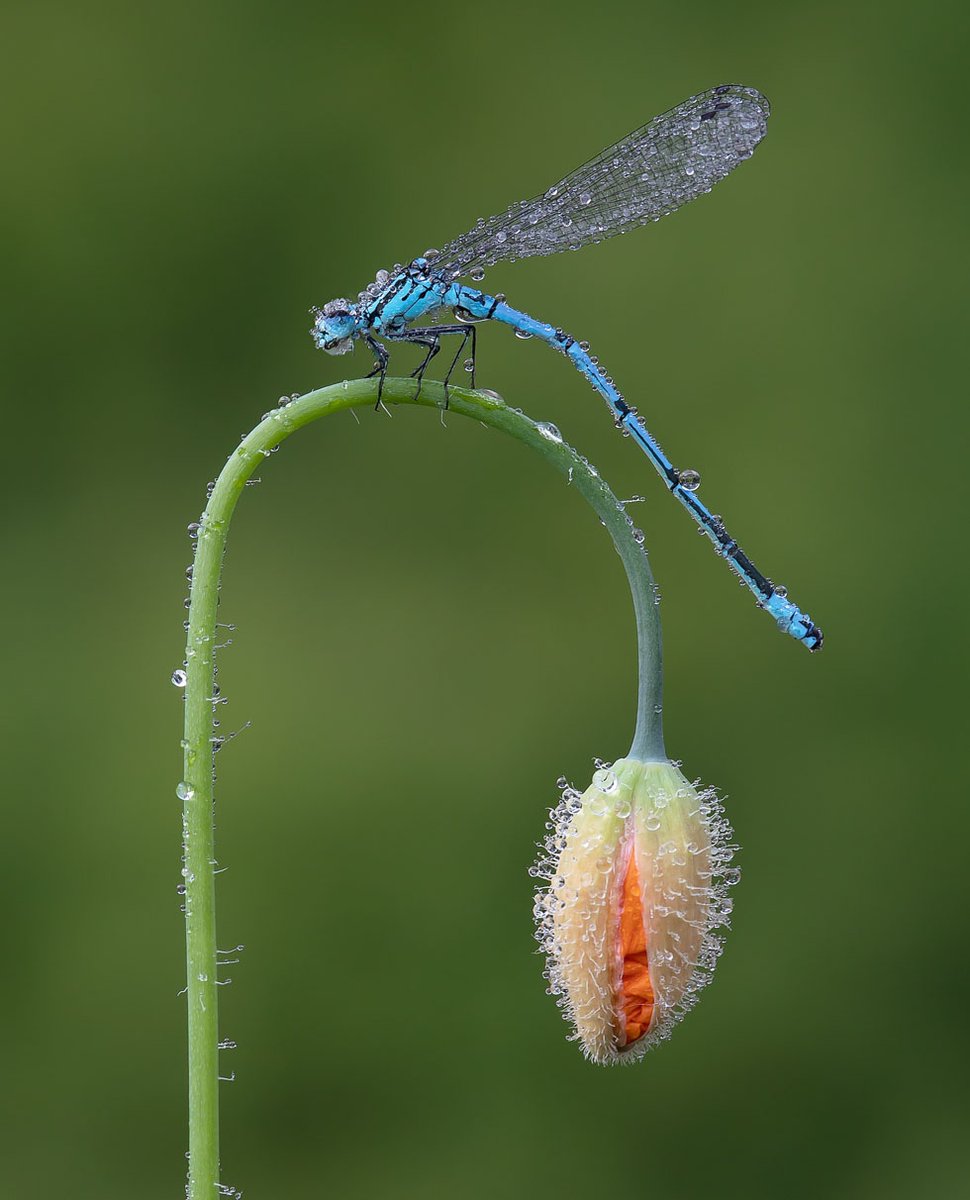 What's coming up at this year's RPS AGM: The Photographer's Journey 📸⁠ Learn all about how our Distinctions can play a key part in your personal photographic journey.

👉 Register for your FREE ticket: bit.ly/PhotographersJ…
⁠
🌍 Online &amp; at RPS Bristol - 24 September 2022⁠
