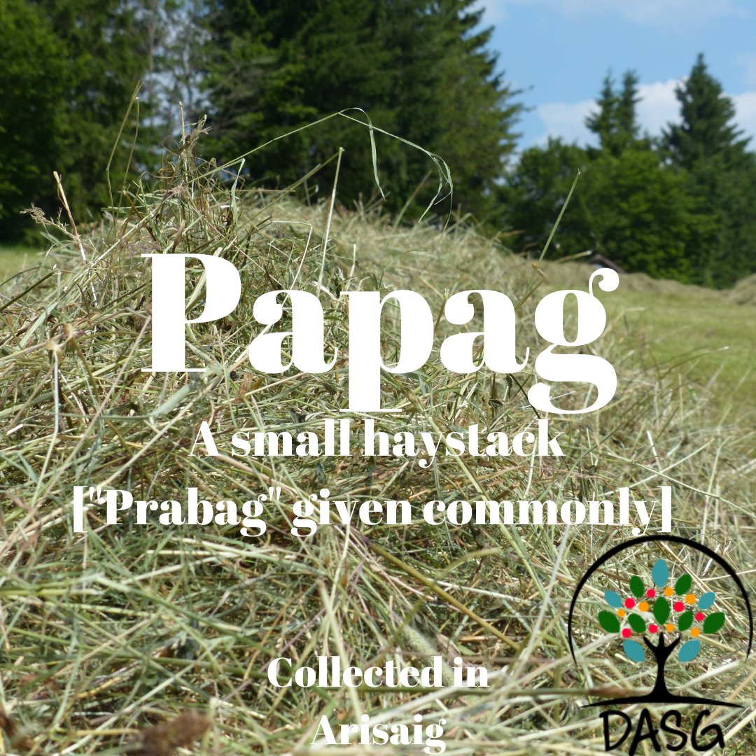 DASG_Glaschu's tweet photo. https://t.co/8osv9YyRcF
🌱
PAPAG - A SMALL HAYSTACK
🌾
#Papag #Prabag #PapagFeòir #HayStack #Feur #Saoidh #Hay
🍃
#Àrasaig #Arisaig #Malaig #Mallaig #NaGarbhChrìochan #Gàidhealtachd #Highlands
#Alba #Scotland
#Gàidhlig #Gaelic #ScottishGaelic
#DigitalArchiveofScottishGaelic #DASG https://t.co/ARw4wGTKlm