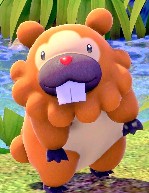 aka___dora's tweet photo. 自分のための癒し固定
 #ビッパ #Newポケモンスナップ https://t.co/GRlVw8ouv1