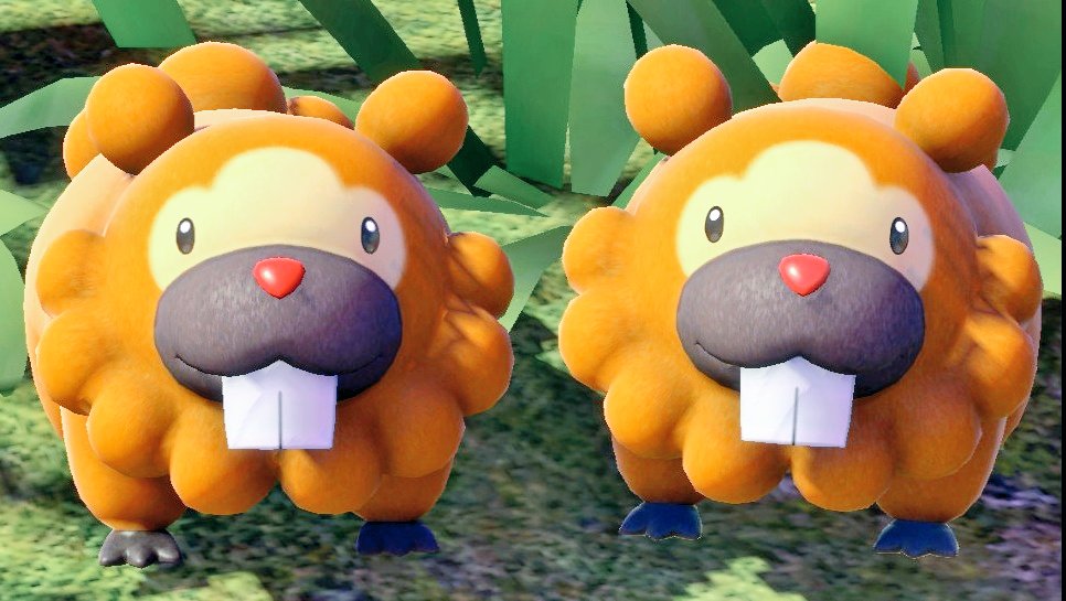 aka___dora's tweet photo. 自分のための癒し固定
 #ビッパ #Newポケモンスナップ https://t.co/GRlVw8ouv1