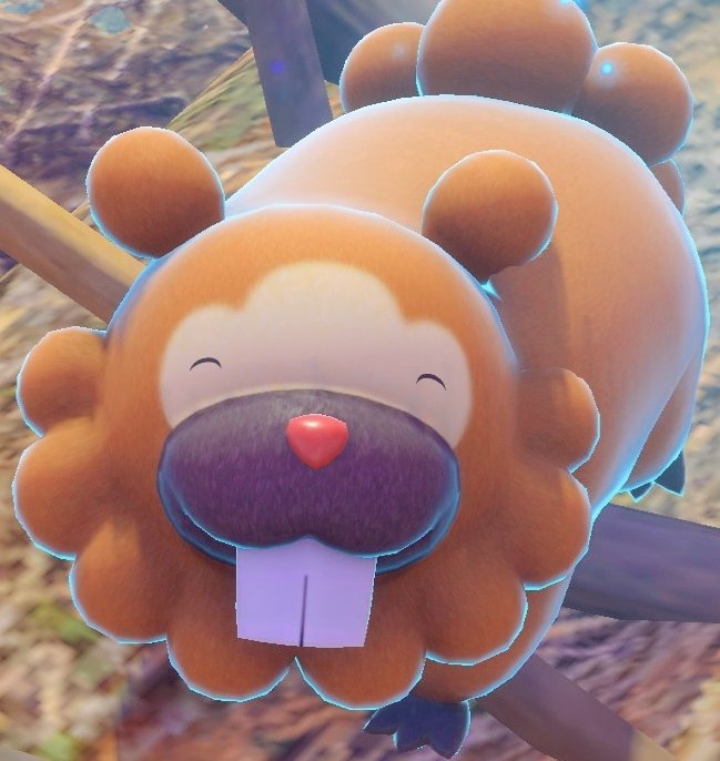 aka___dora's tweet photo. 自分のための癒し固定
 #ビッパ #Newポケモンスナップ https://t.co/GRlVw8ouv1